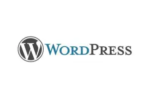Web Designer WordPress Belo Horizonte