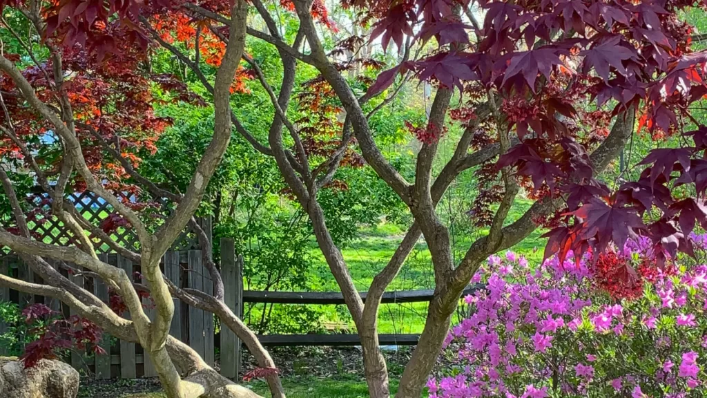 Hospedagem de sites – comparing preços e recursos dos principais serviços