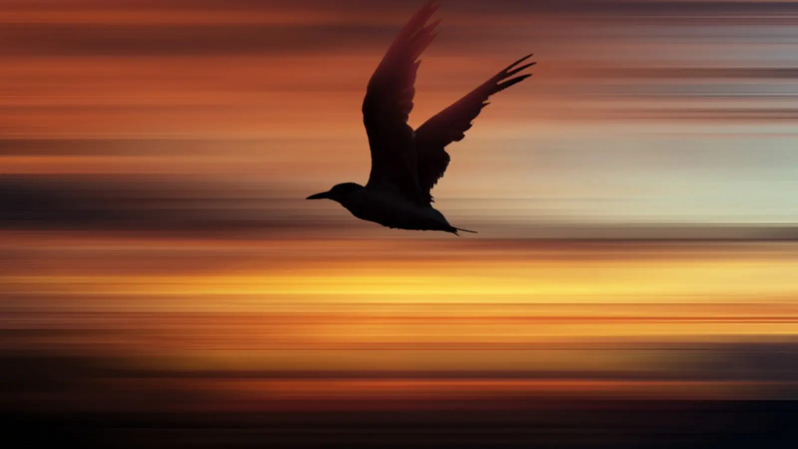 Dicas para criar uma identidade visual consistente e atraente