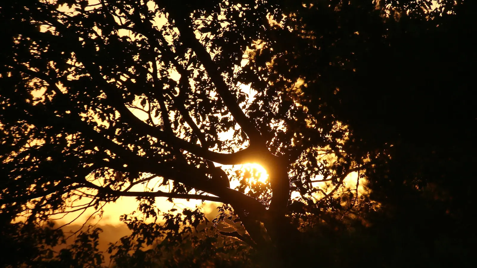 Cuidados ao escolher o tom de vermelho para sua logomarca