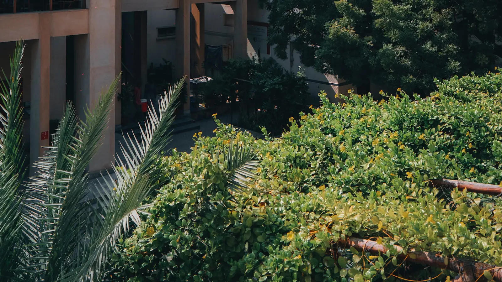 Harmonia Visual: A Importância da Coerência no Design de Páginas