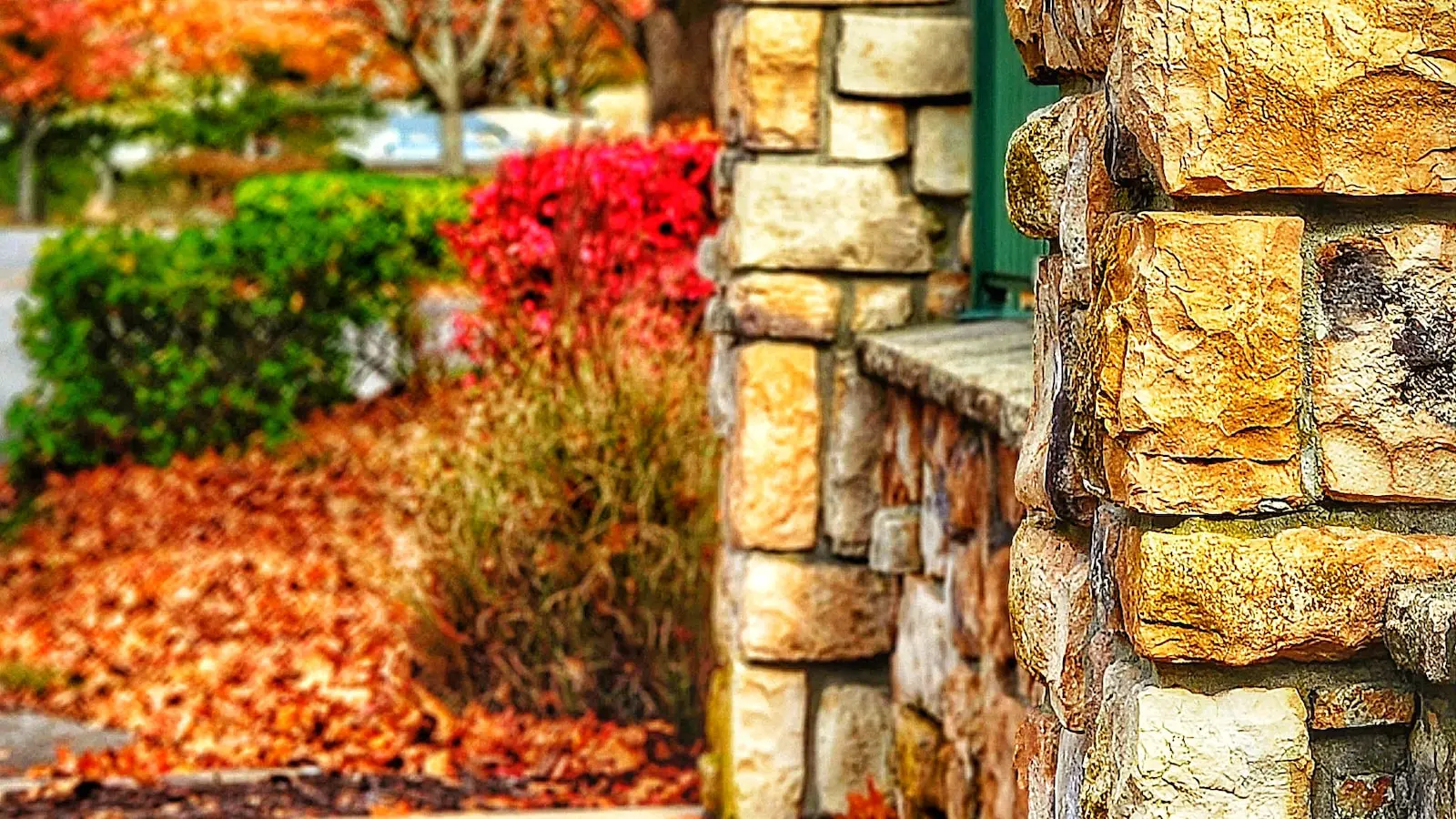 A importância de um blog para o seu site