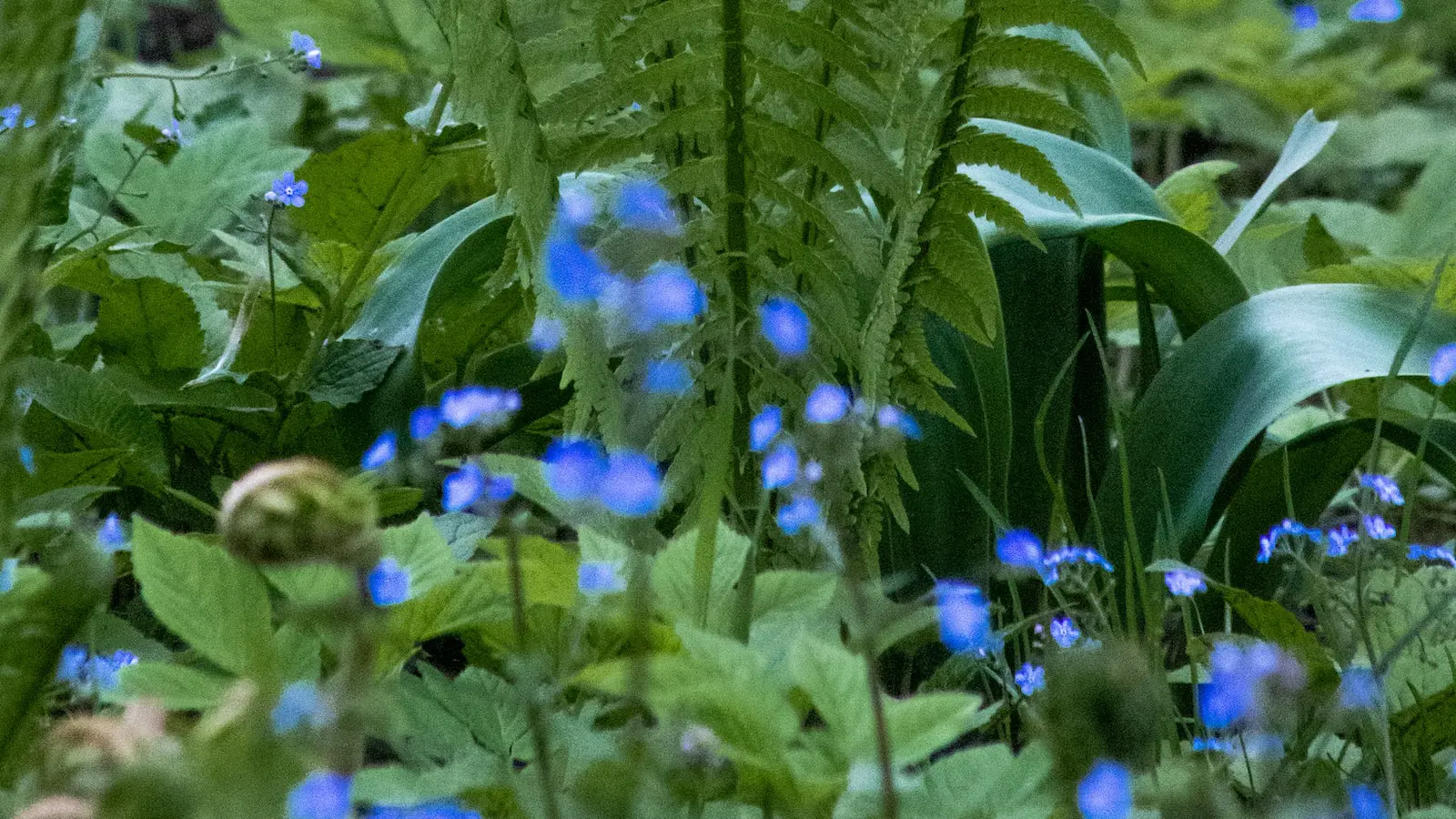 A importância ​da pesquisa de mercado na escolha do nome da marca