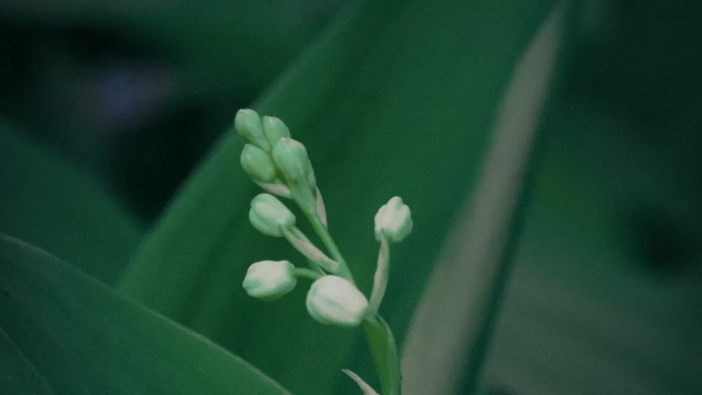 Naming: processos criativos para marcas memoráveis