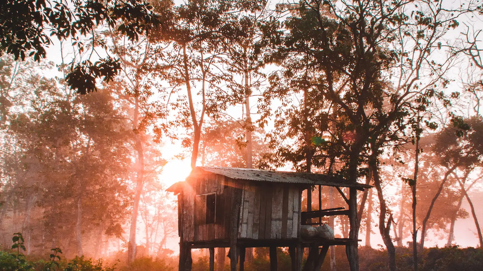 1. Introdução: A importância da identidade visual em cartões de visita