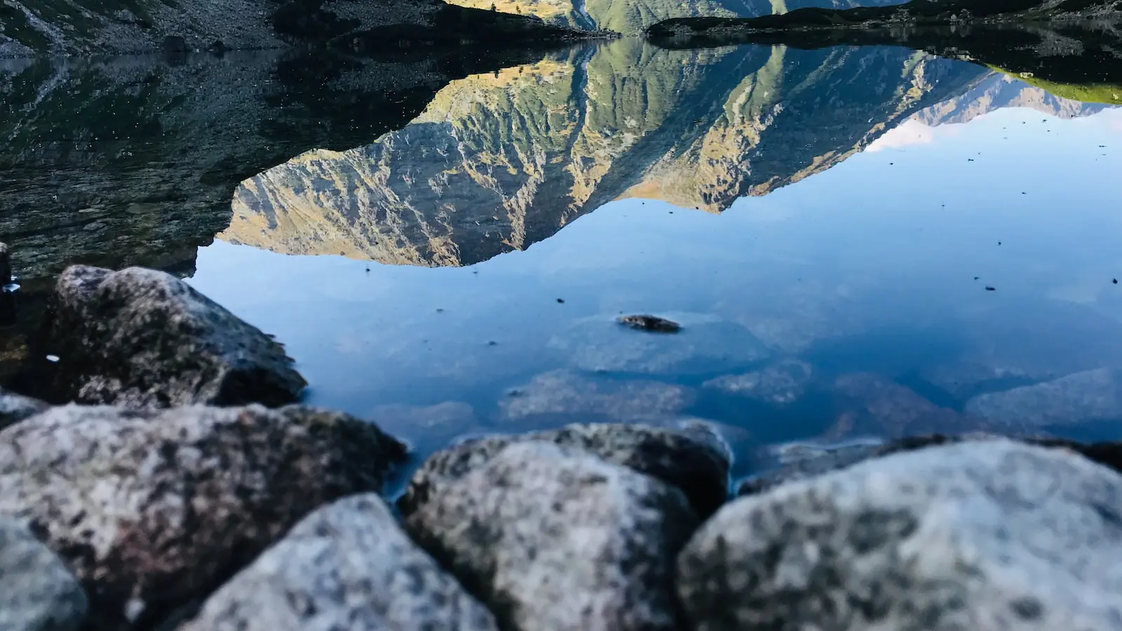 O poder dos sons na construção da marca