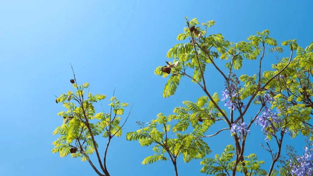 Badges: logomarcas circulares para redes sociais