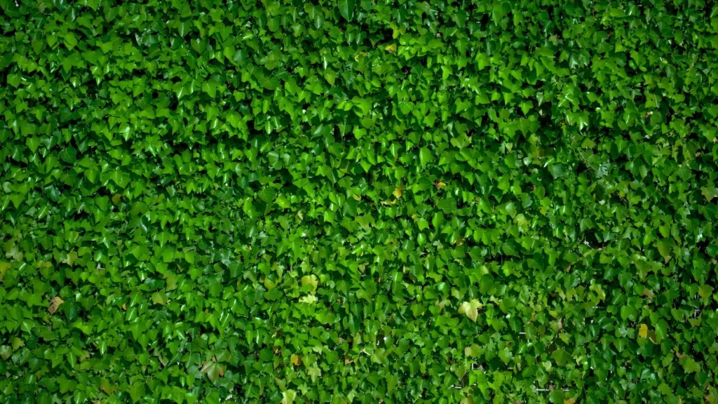 Uniformes customizados – criando identidade visual em roupas