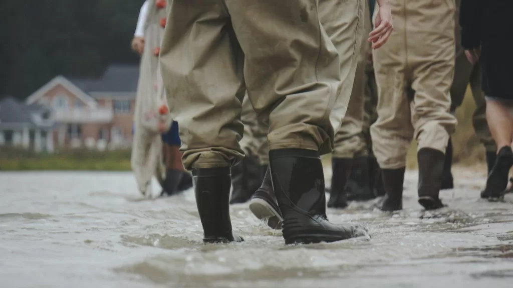 Cores que se completam: combinações para logomarcas incríveis