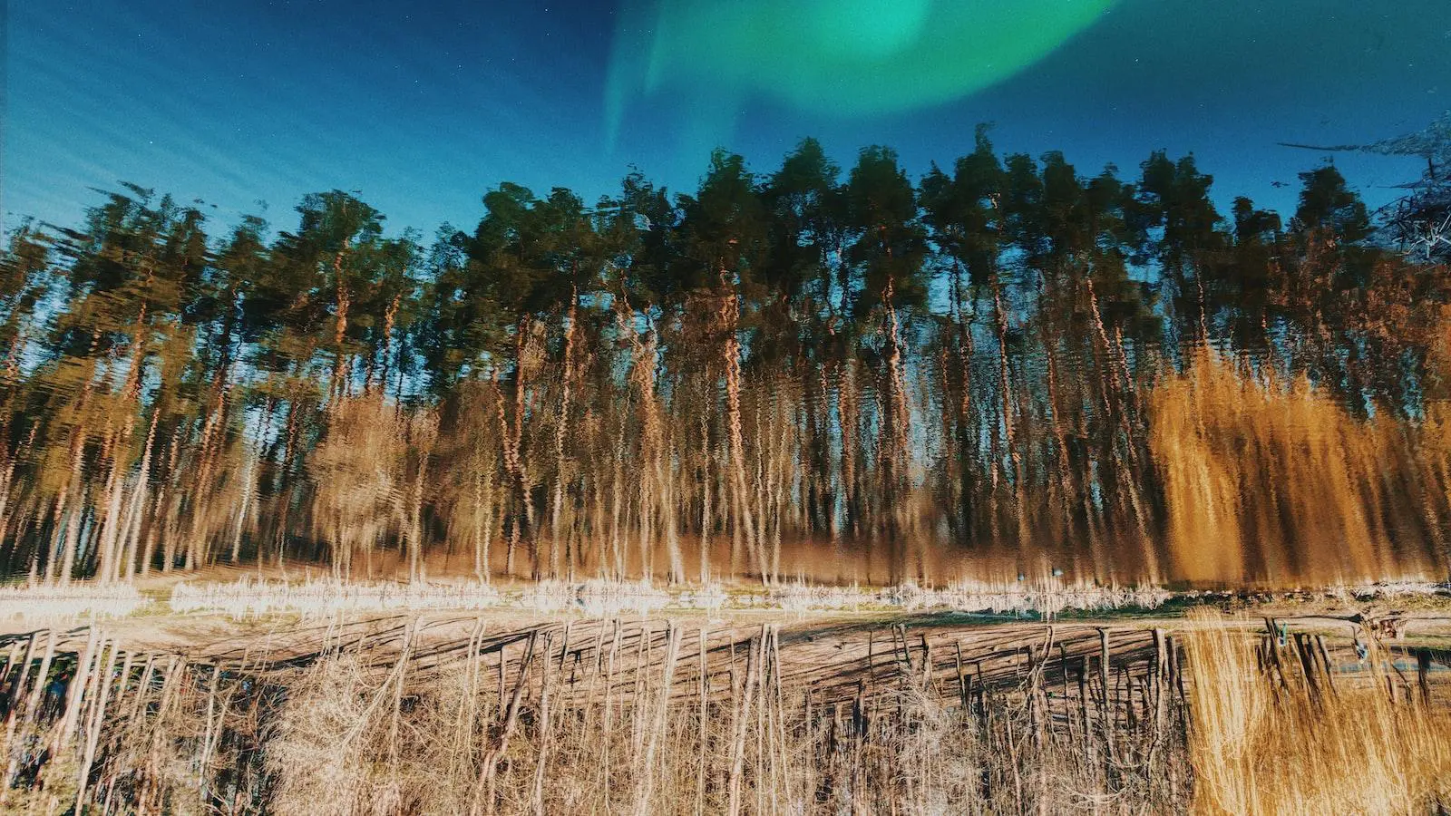 estudo de caso: aplicação de identidade visual no instagram