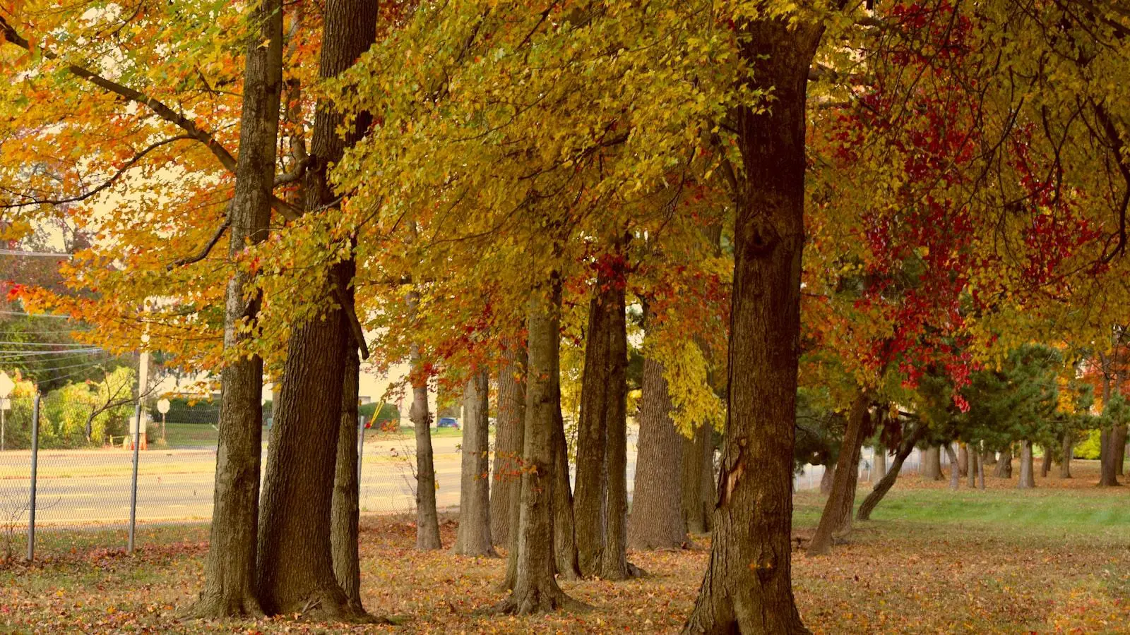 teoria do tetris: como eliminar espaços vazios na criação de um site