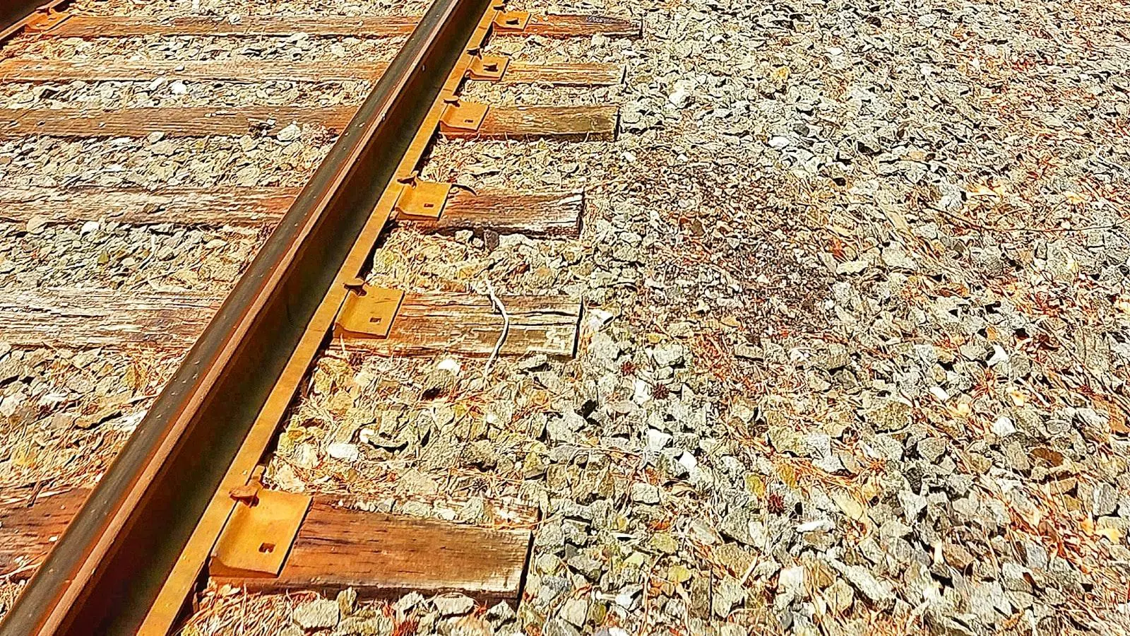 direitos autorais: o que você precisa saber para proteger sua logomarca