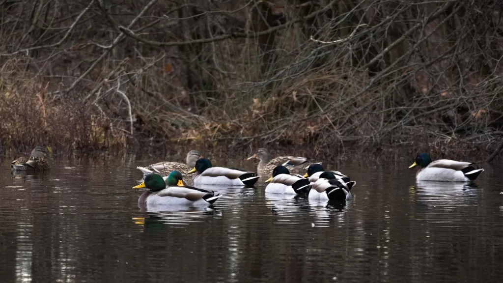 Criação de logomarcas: tudo o que você precisa saber antes de começar