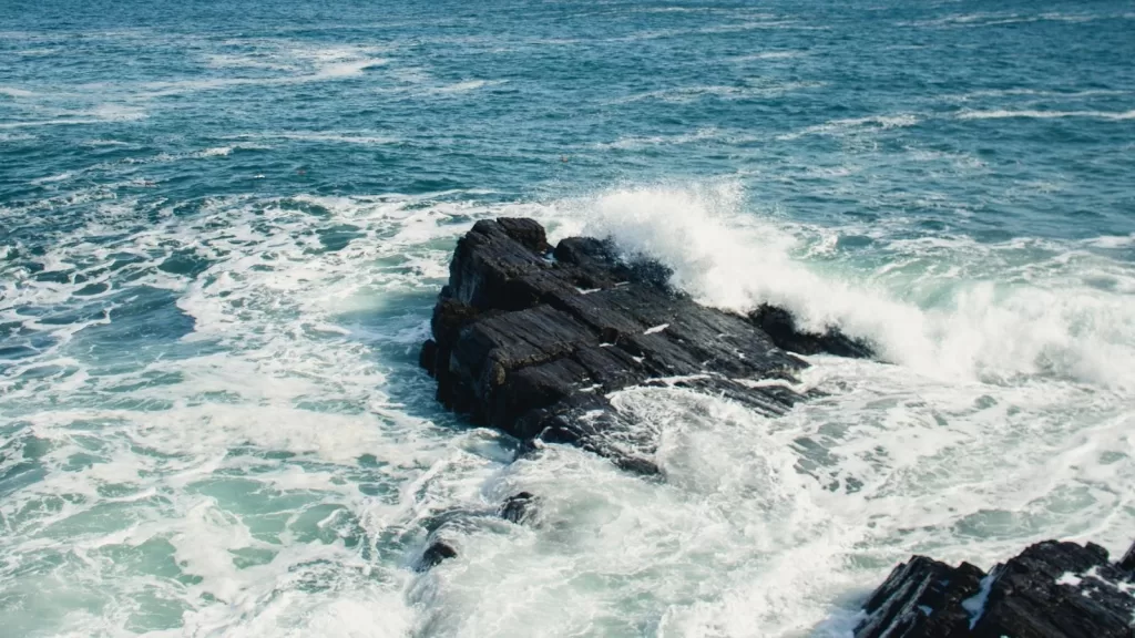 Os 7 elementos-chave de uma identidade visual de sucesso