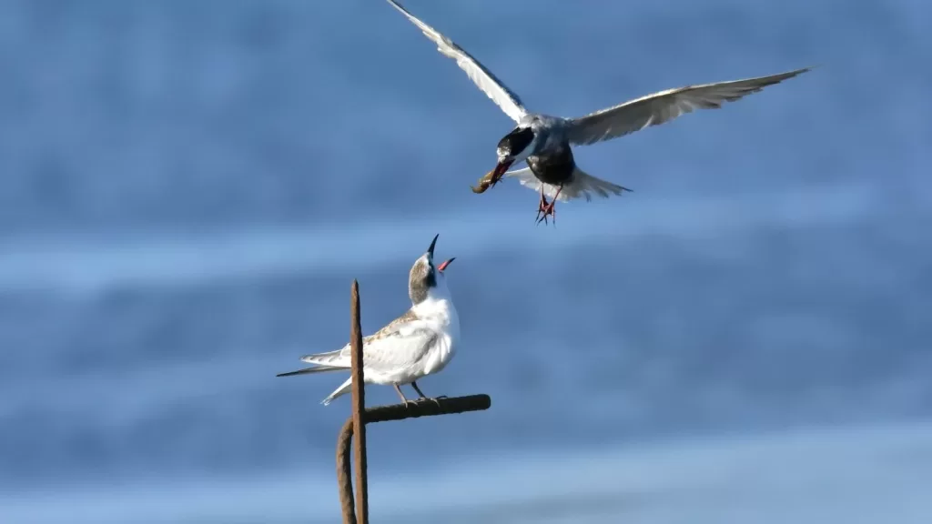 6 dicas para criar embalagens que valorizem sua identidade visual