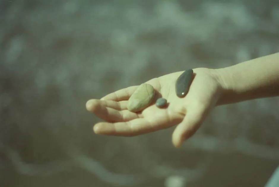 Desvende⁣ os Segredos‍ de Cores que⁤ Conectam e‍ Vendem