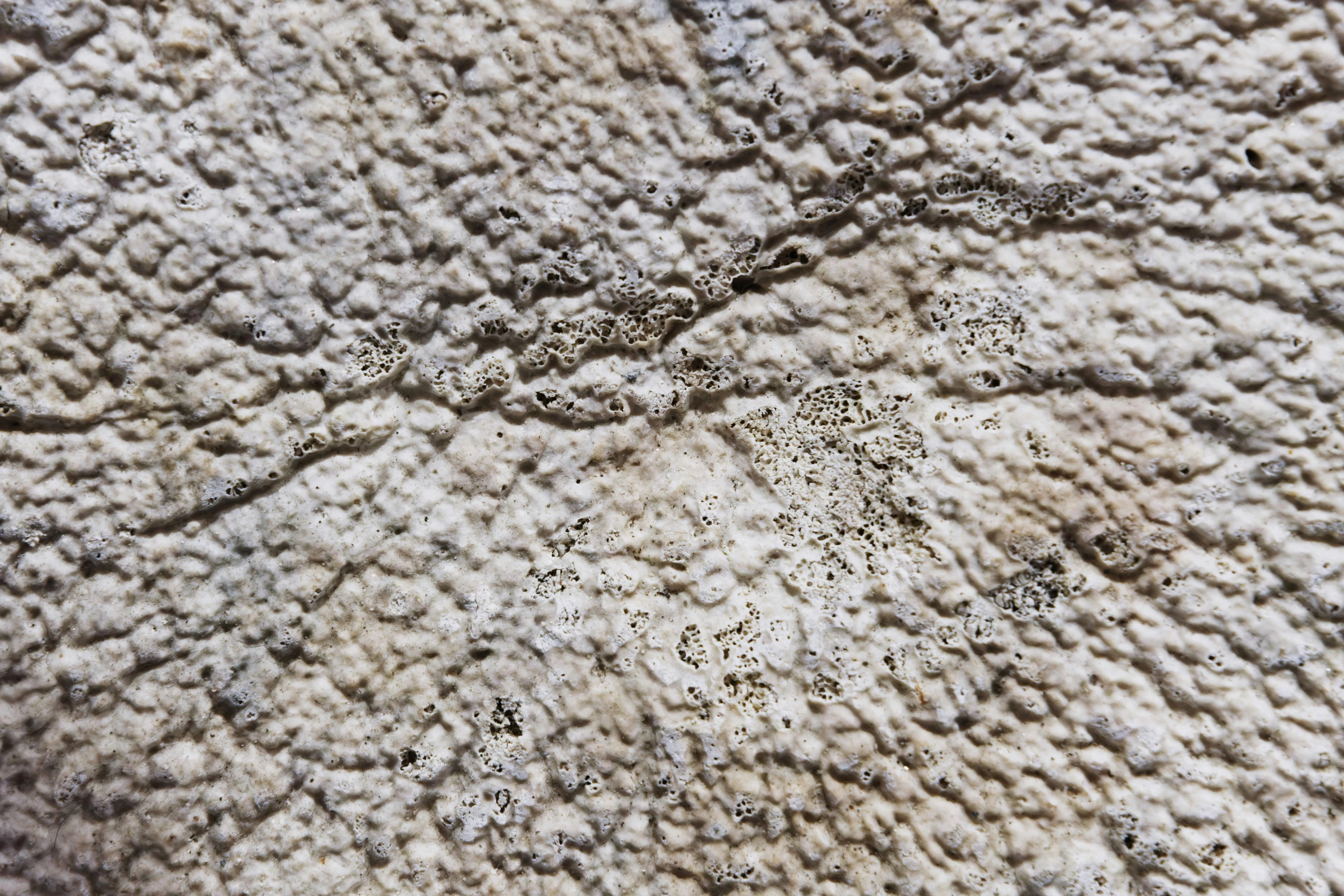 - A Magia do Design Visual: Criando uma Identidade Marcante