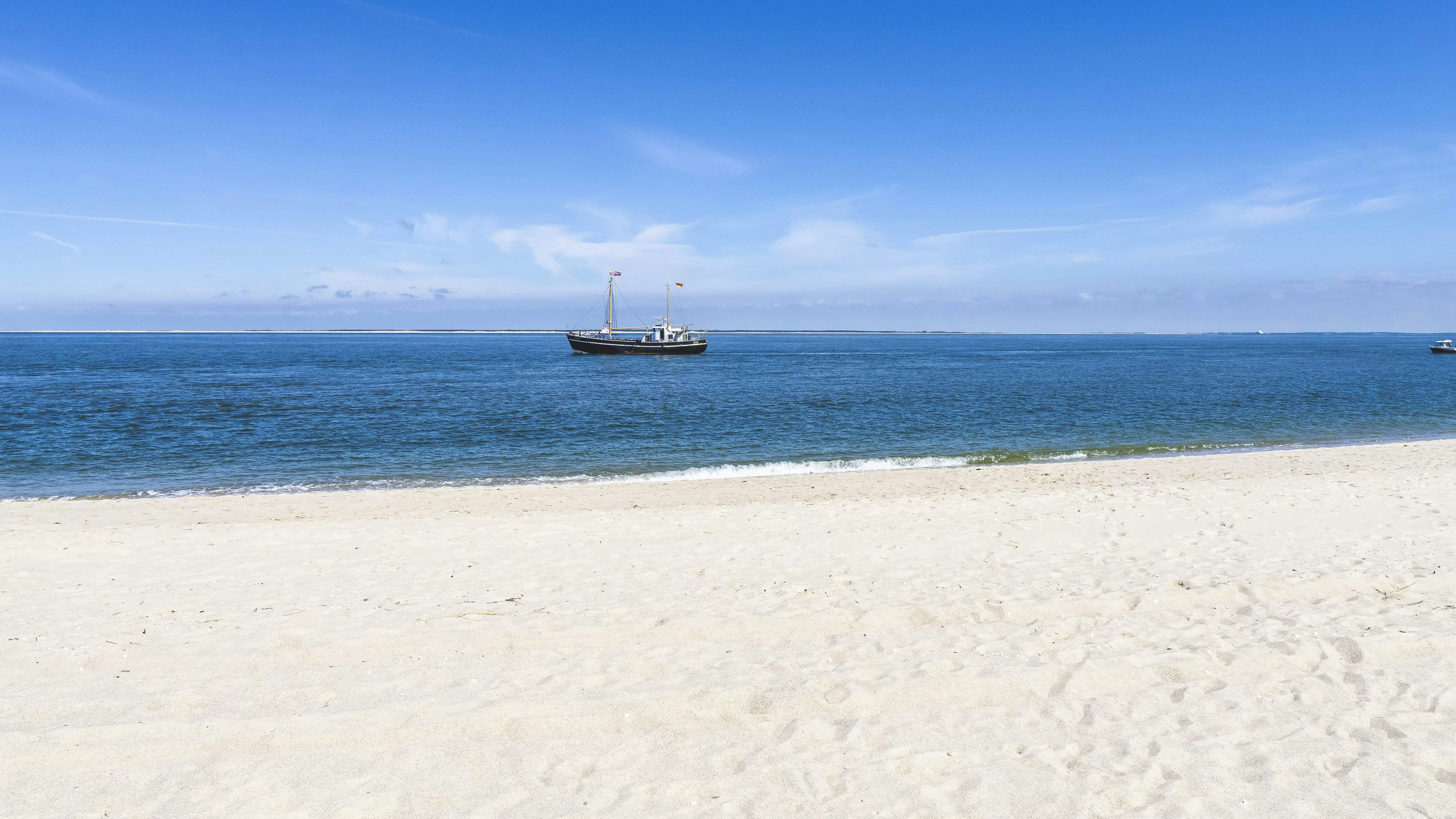 - Como um Web Designer Profissional Pode Otimizar a Experiência do Usuário